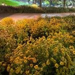 natural landscape 1