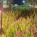 natural landscape 1