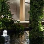 natural landscape 1