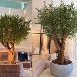 Artificial landscaping  1