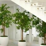 Artificial landscaping  1